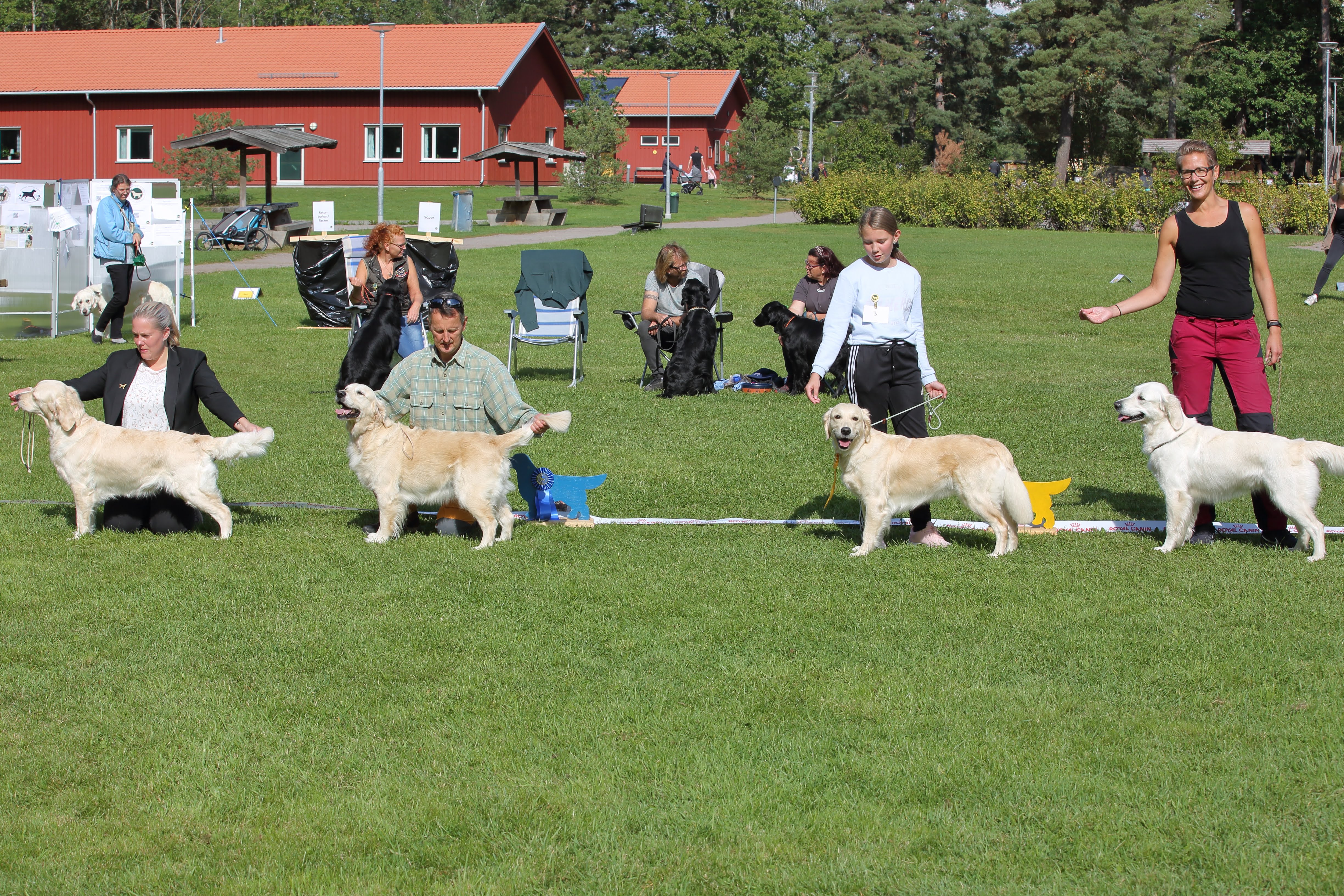 2019-09-08 Familjedag@Vidingsjö_C5D_4965